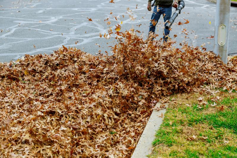 Leaf Blowing for Quick Clearing
