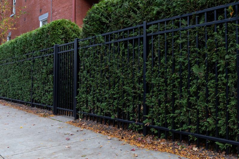 Hedge Installation in Ventura County, CA