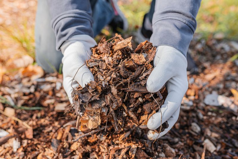 Residential Mulching in Honolulu, HI