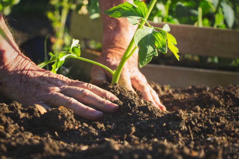 Small Garden Landscaping in Ventura County, CA